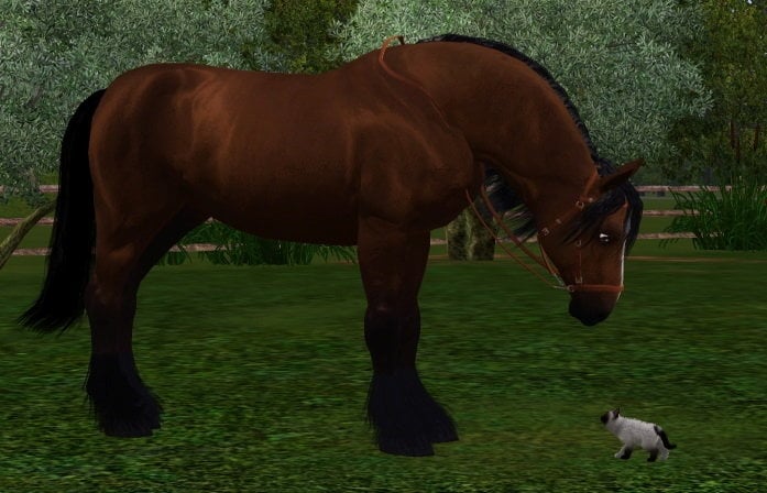 Screenshot-306.jpg.497c25621673662bd4a2687b477b0d45.jpg
