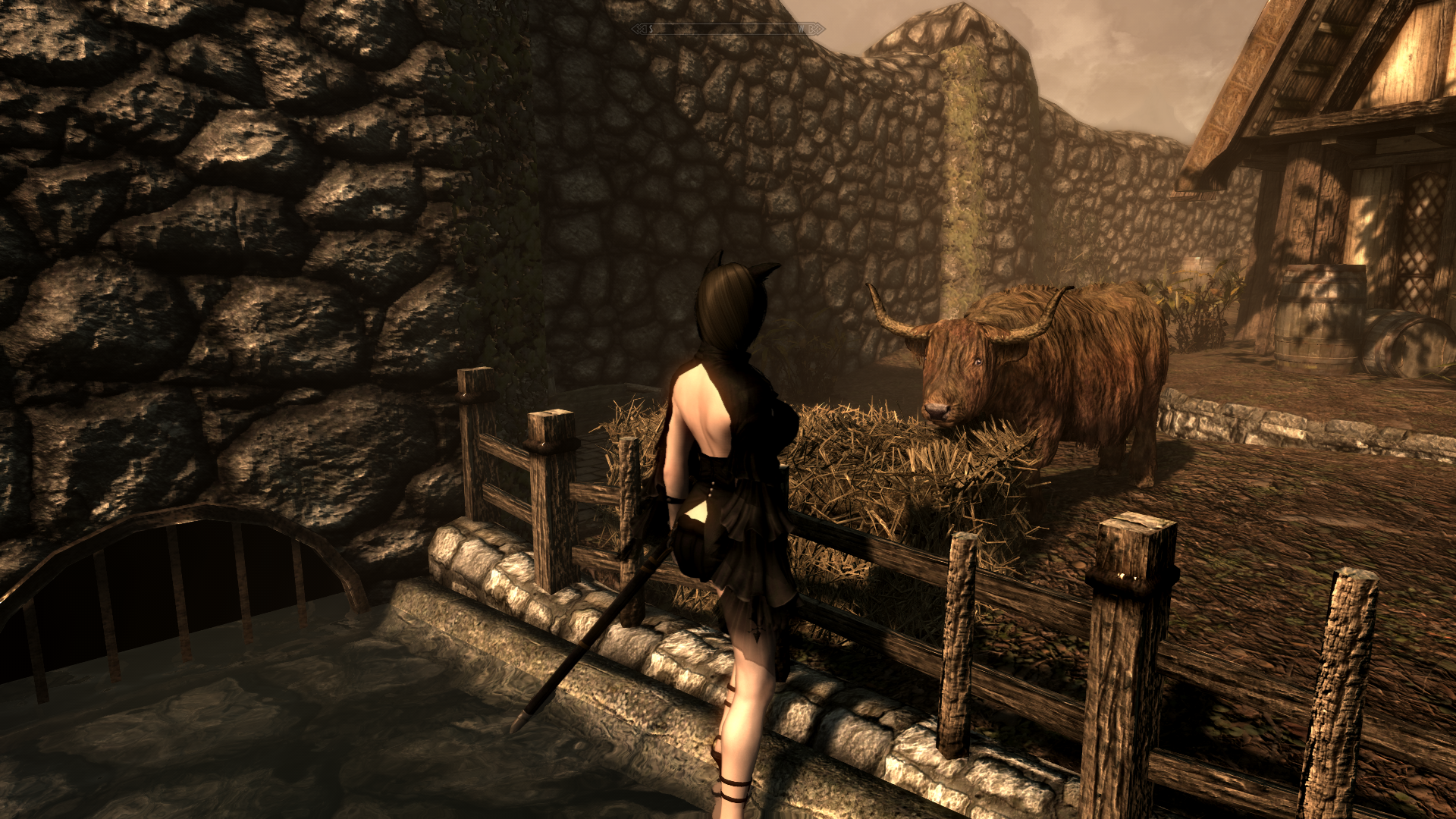 Skyrim574.png.bc8ae46441b37e959a9556b5f647e348.png