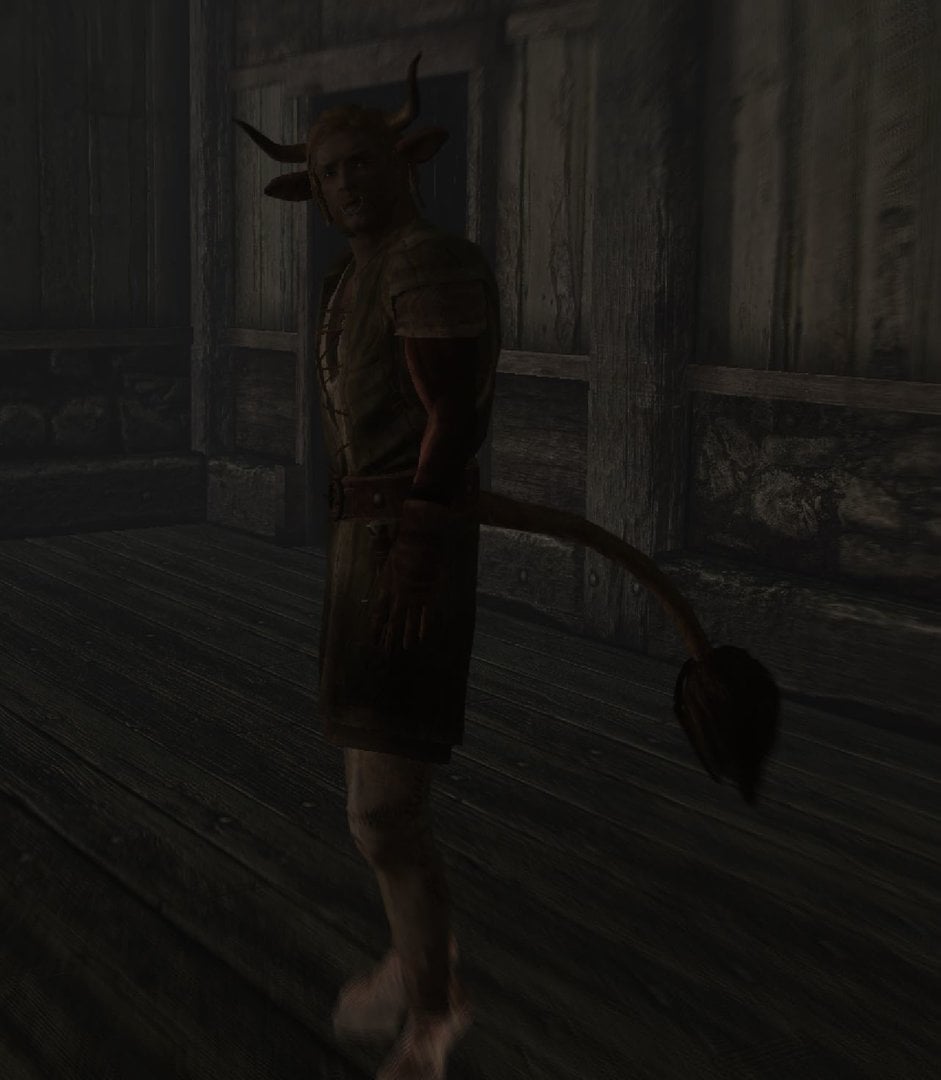 bull.JPG