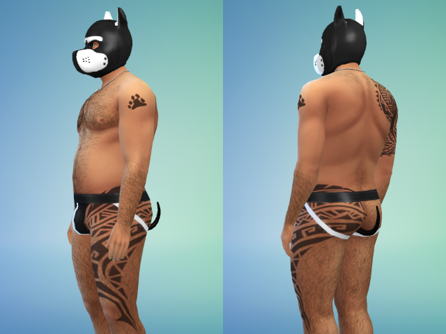 colageTail.png.cb261f905b65ac72bc3495ae88d5b64c.png