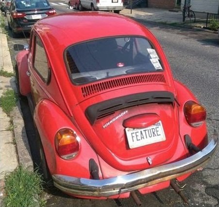 featurebug.jpg.4c420a4714bc1d79f5231fa79f95d077.jpg