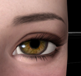image.png.447380bbb21f756e14a20a513e9bed3b.png