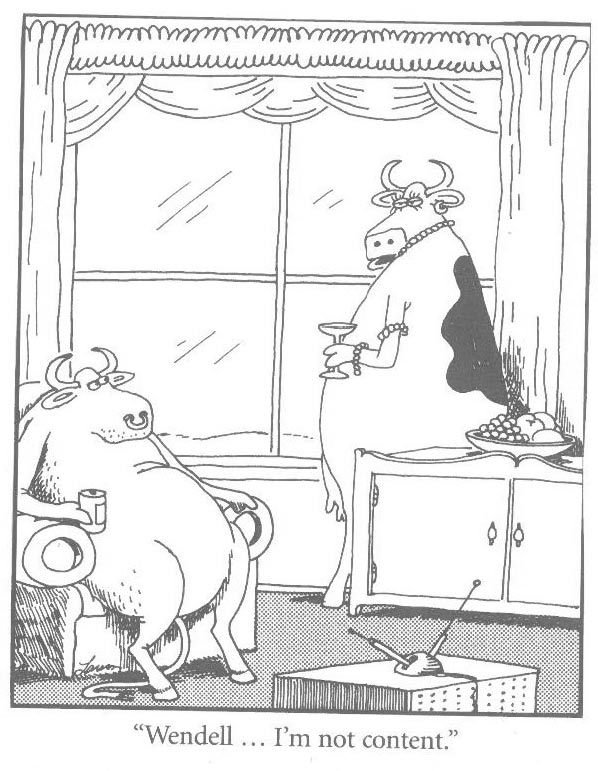 048e1c80c6ac4955f5f463fa1c8161bf--far-side-cartoons-far-side-comics.jpg.07827ea3418de8a1d94ead29d13cf610.jpg