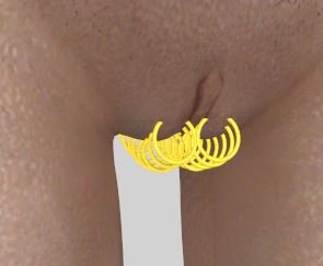 1544678167_16ringsoutfitstudio.JPG.5f098e0959cbbcb82376fbce09f658ea.JPG