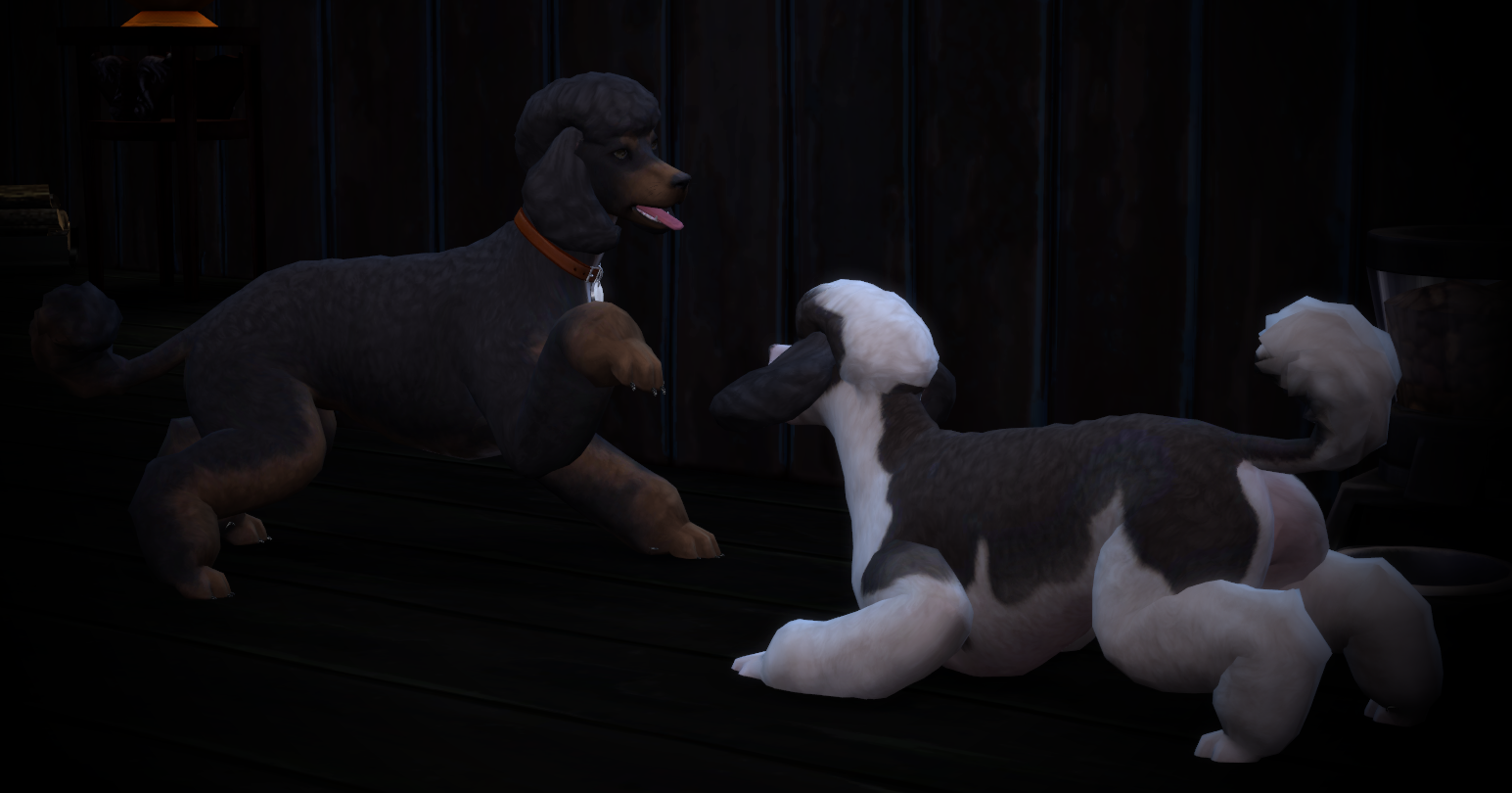 21_10.19_01-02-34ToniSallyPoodlePaint.png.9d3da931b700219db99dfde9f4801e19.png