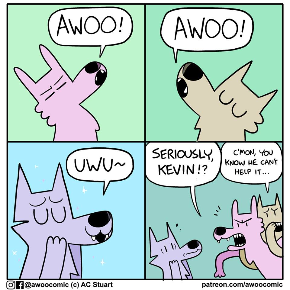 71120400_131038338283359_2437258863758540800_n.png