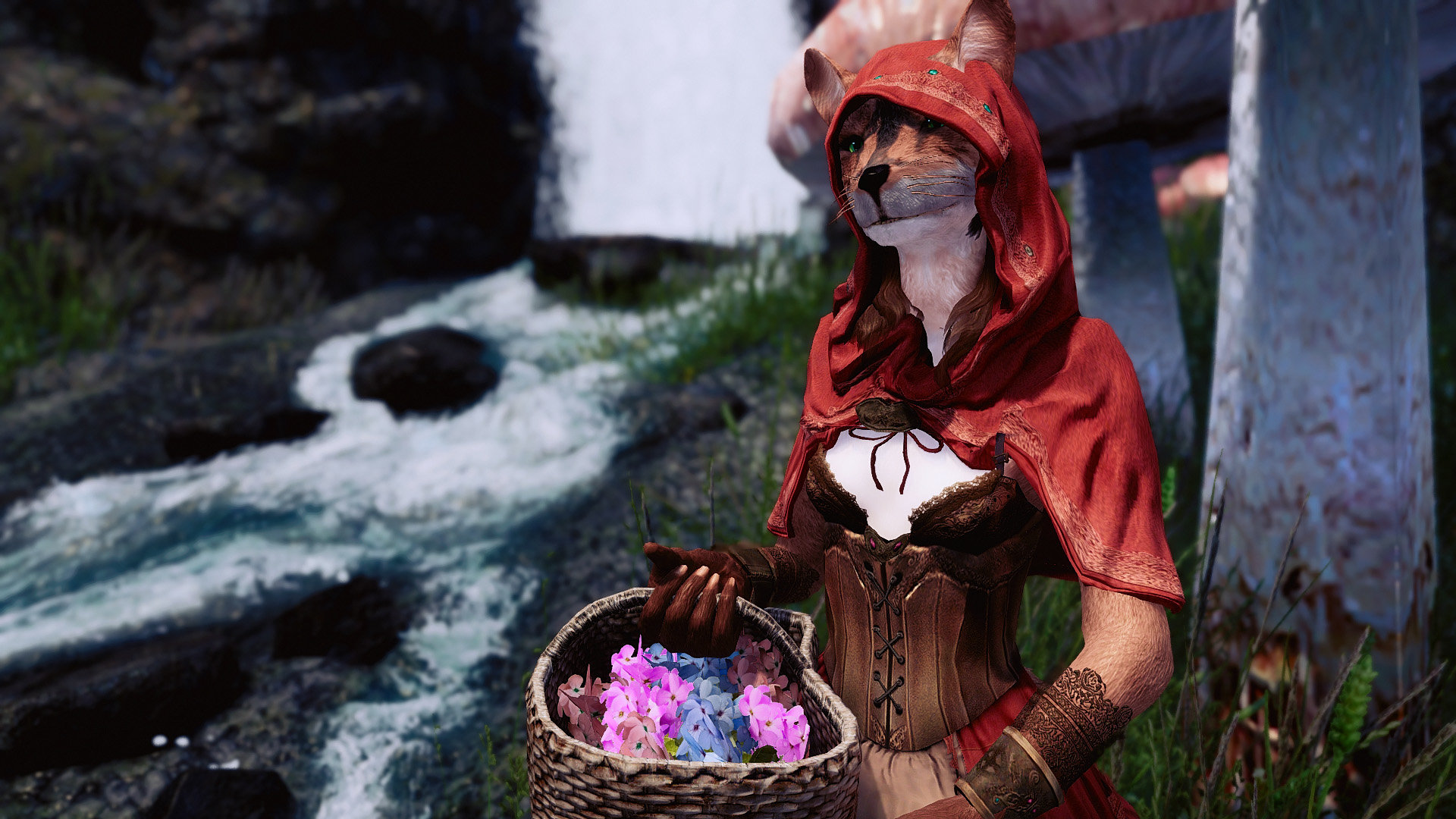 Fairytale.jpg.d7b681e1d57f6ab4d45de21e3a4fb656.jpg