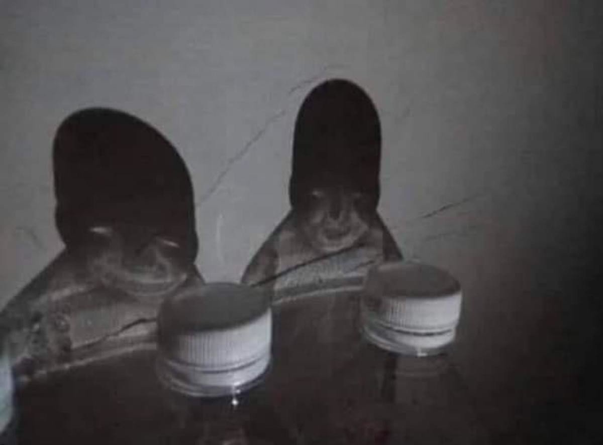 Ingbottleshadowsmentionlistcreehorrcur_b9af53_7327190.jpg