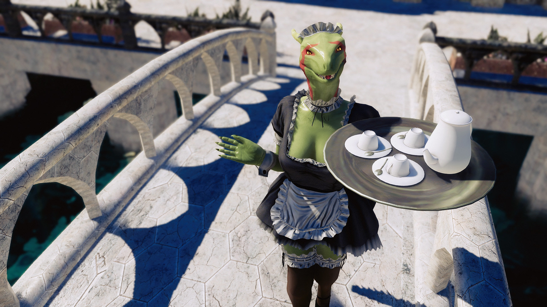 Maid1.jpg.5acdc5ceae3c96fc3fe276eed653c99b.jpg