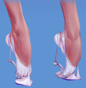 Screenshot_288.png.8556e42219b5c3c568e06b9e45fa132e.png