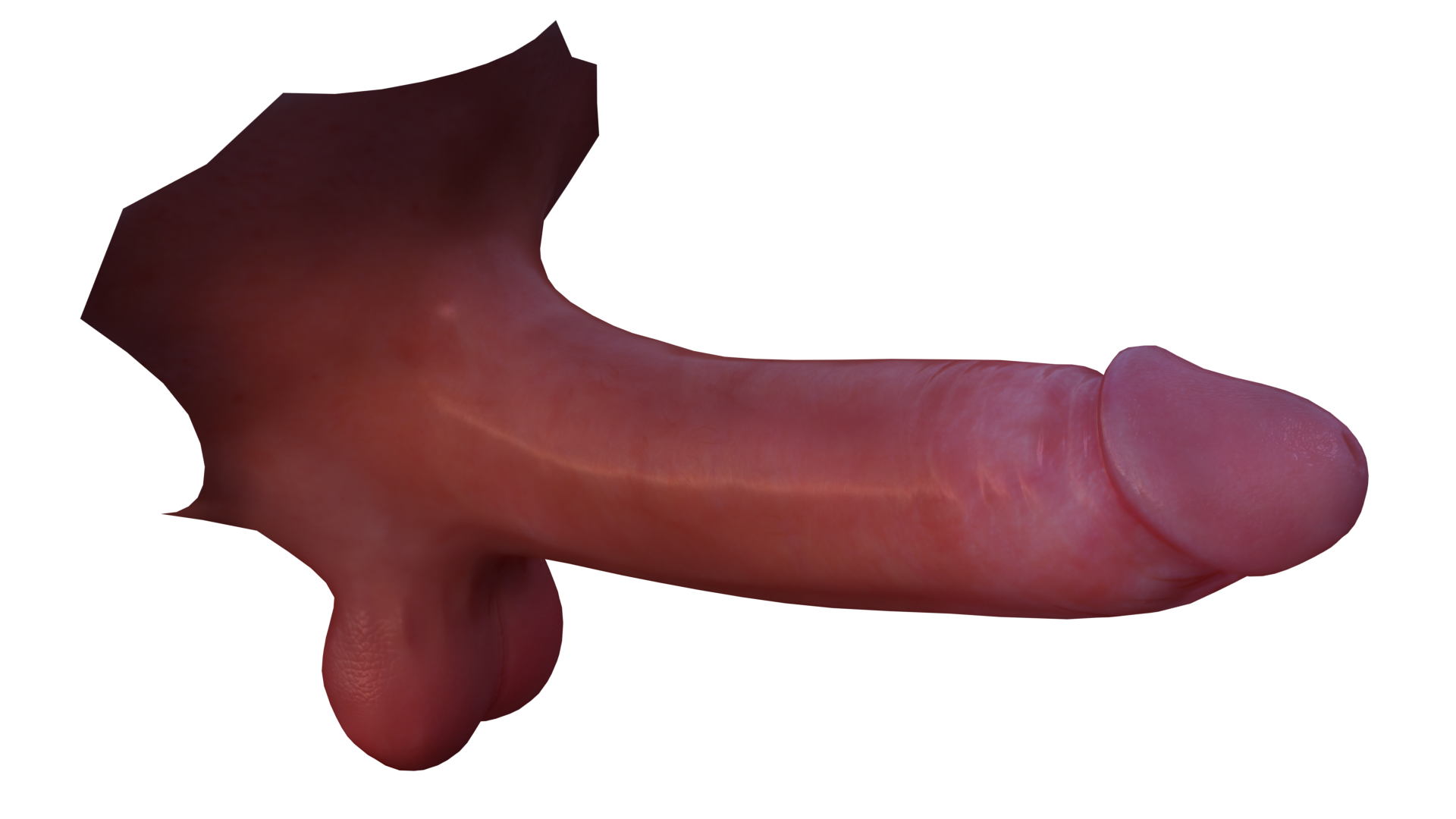 cockycock.png.820f662886572b28c6f89fa1d46cb2a2.png