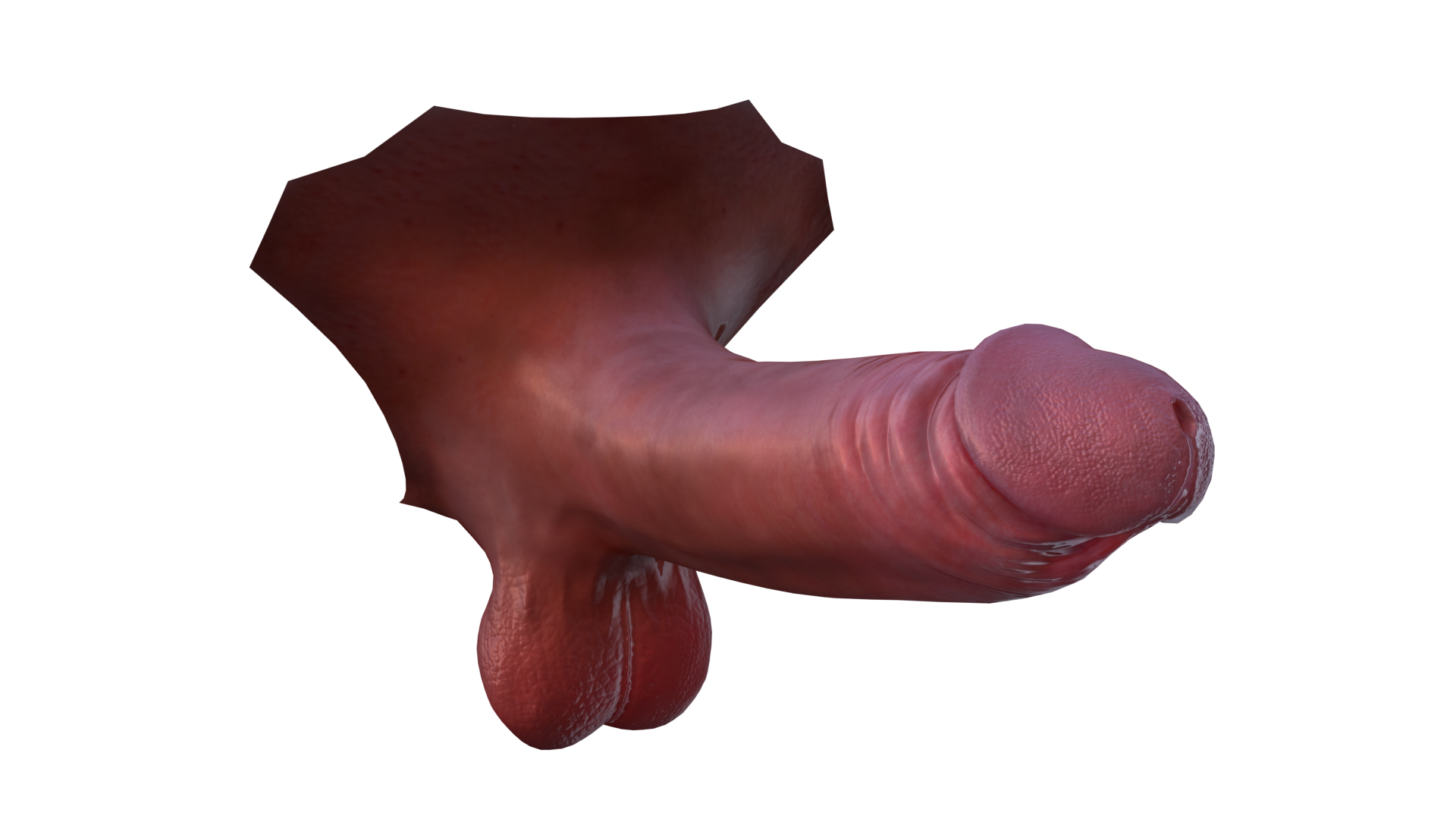 cockycock2.png.30e4e090e00ee08f889d86f780851a47.png