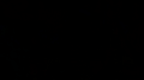 czf.gif.1d90674791d497f4edd7539662e6eff2.gif