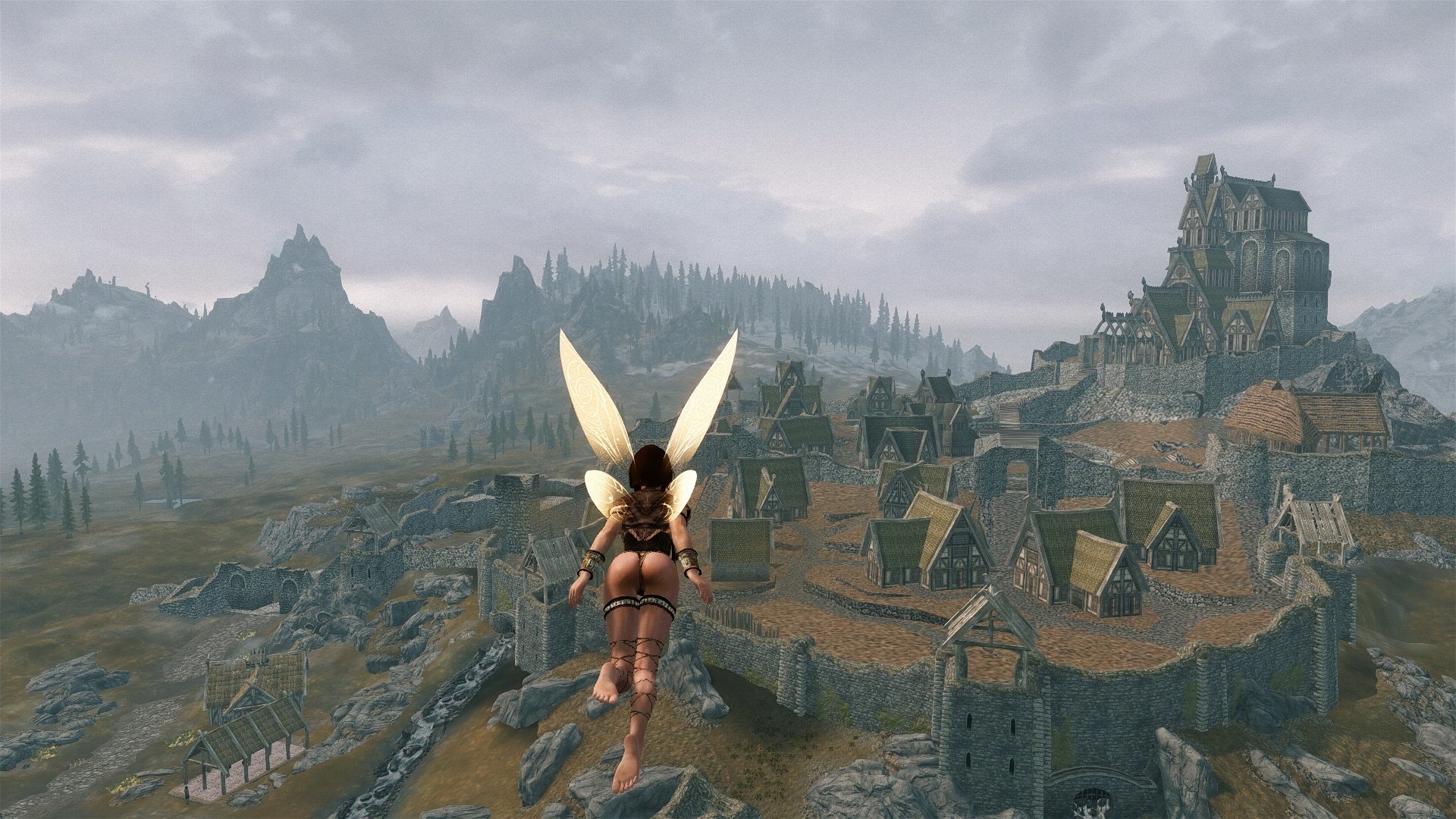 fly.jpg.9d3cf79bd8f03757857e426e1470831b.jpg