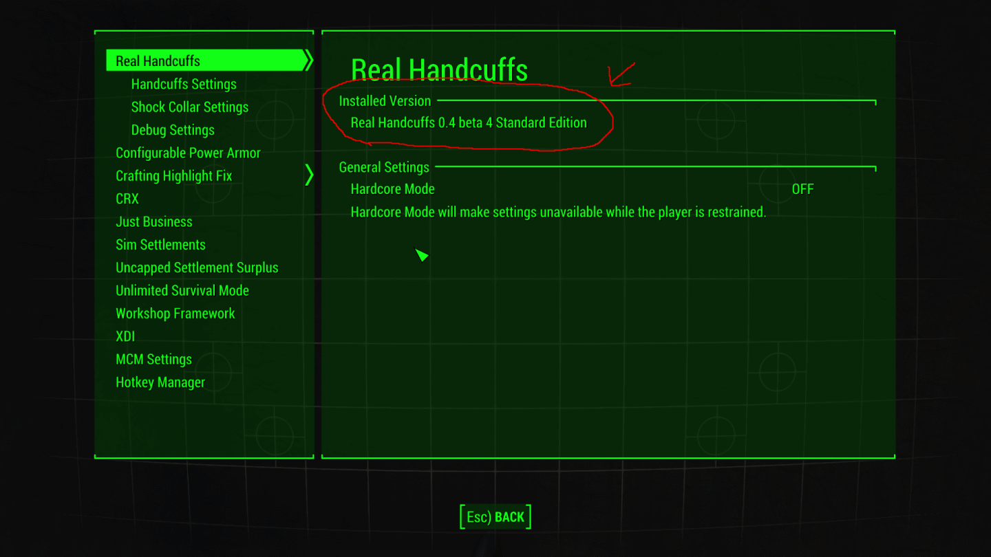 main_menu_installed_version.png.caeb1c47d360fb525bd04e9e497143ab.png