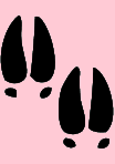 piggyicon.png.4363a2d5130e54257364bf928a75258a.png