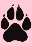 pupicon.png.63e8e06b3e4e5a081e5911257d2392e2.png