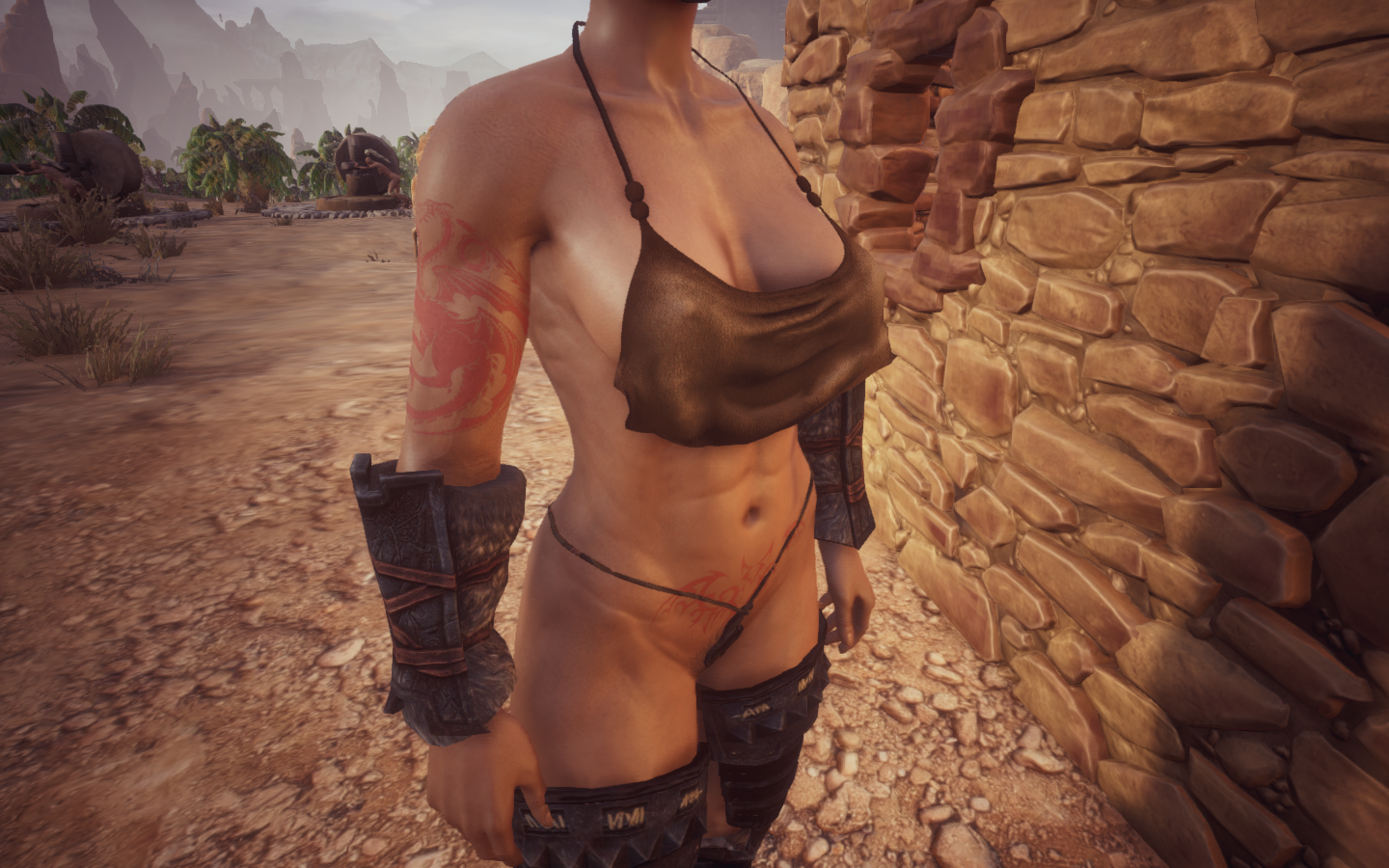 1897287865_ConanExilesScreenshot2019_11.10-21_28_07_51.png.a4564b1ec5ab5007a8fbe32e34b08c08.png