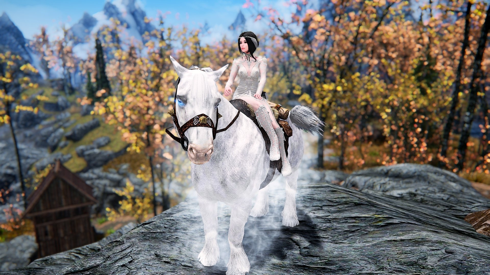 347234222_TheElderScrollsVSkyrimSpecialEditionScreenshot2019_11.17-20_48_34_36.thumb.jpg.e5d80bfdbec24cb51a3b57444a8d5b5a.jpg