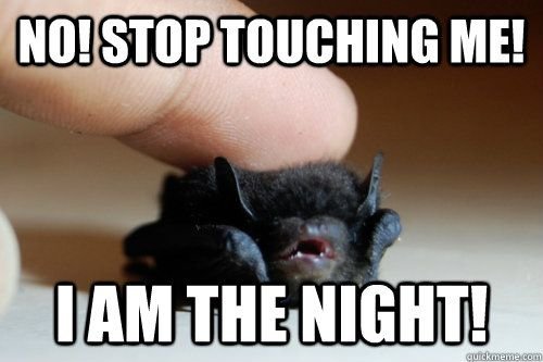 51398654_fearsomebat.jpg.2d8d0d8c6e47ee30610ede1db36115c9.jpg