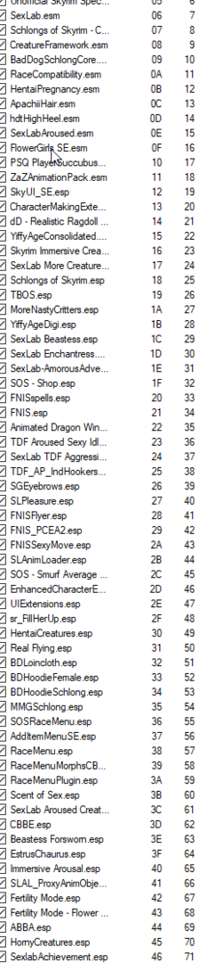 2019-11-02 02_17_57-Nexus Mod Manager (0.70.9) - Skyrim Special Edition.png