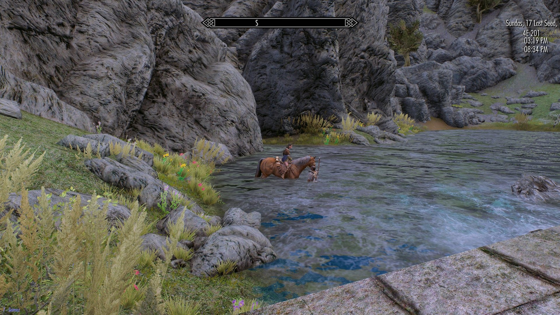Horse.thumb.jpg.f8a0887dff8957e7d086949bea078c71.jpg