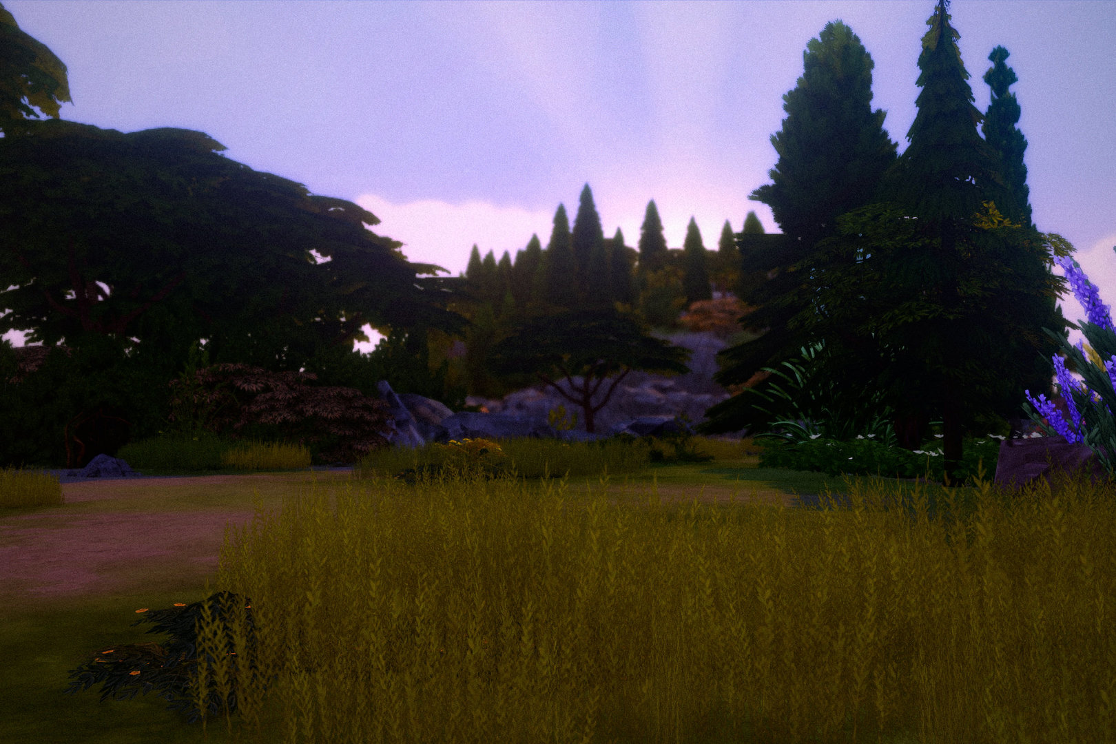 PSX_20191129_025837.thumb.jpg.2f84c2d6d147cd2c726958cea8426dd6.jpg