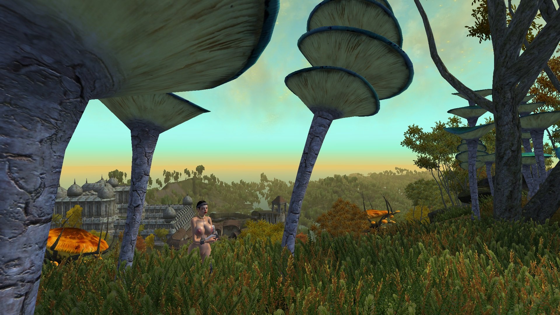ScreenShot2906.jpg.6bc906e3445138466ddaa78f0d30a16e.jpg