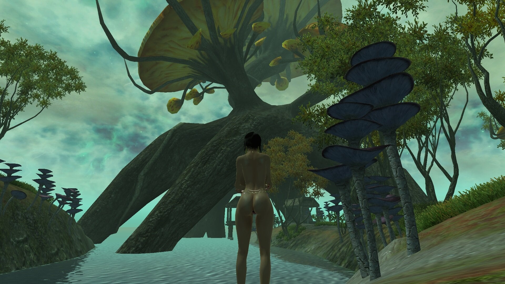 ScreenShot2930.jpg.a5354a829c458e1291b21fc19ca59162.jpg