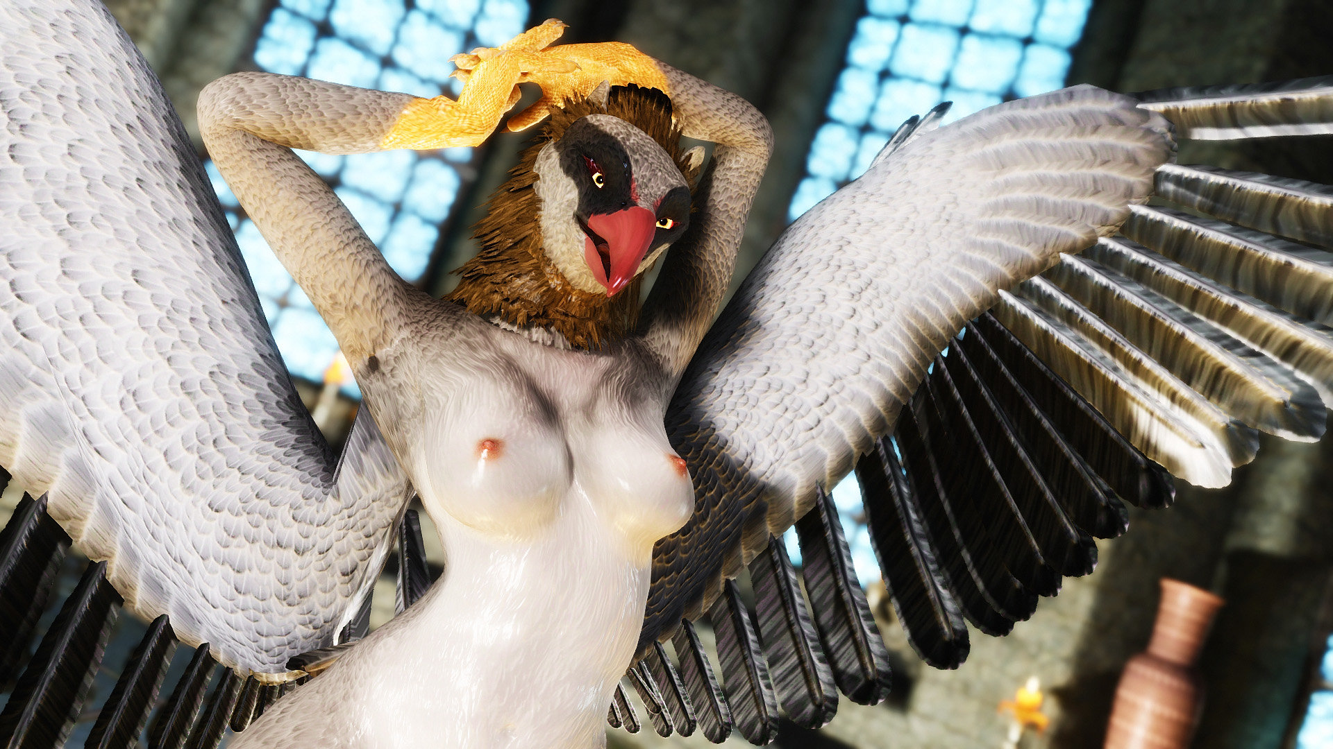 birbtest.jpg.182577af9071f5c10621bb61d809c97b.jpg