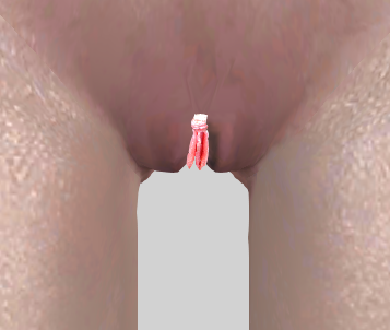 realvag.PNG.b69332d7b9428df918adacd3ffbe1bd9.PNG
