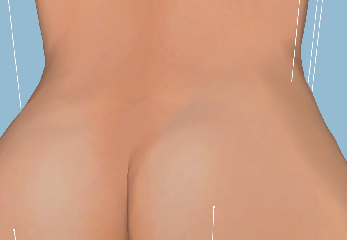 zznew.jpg