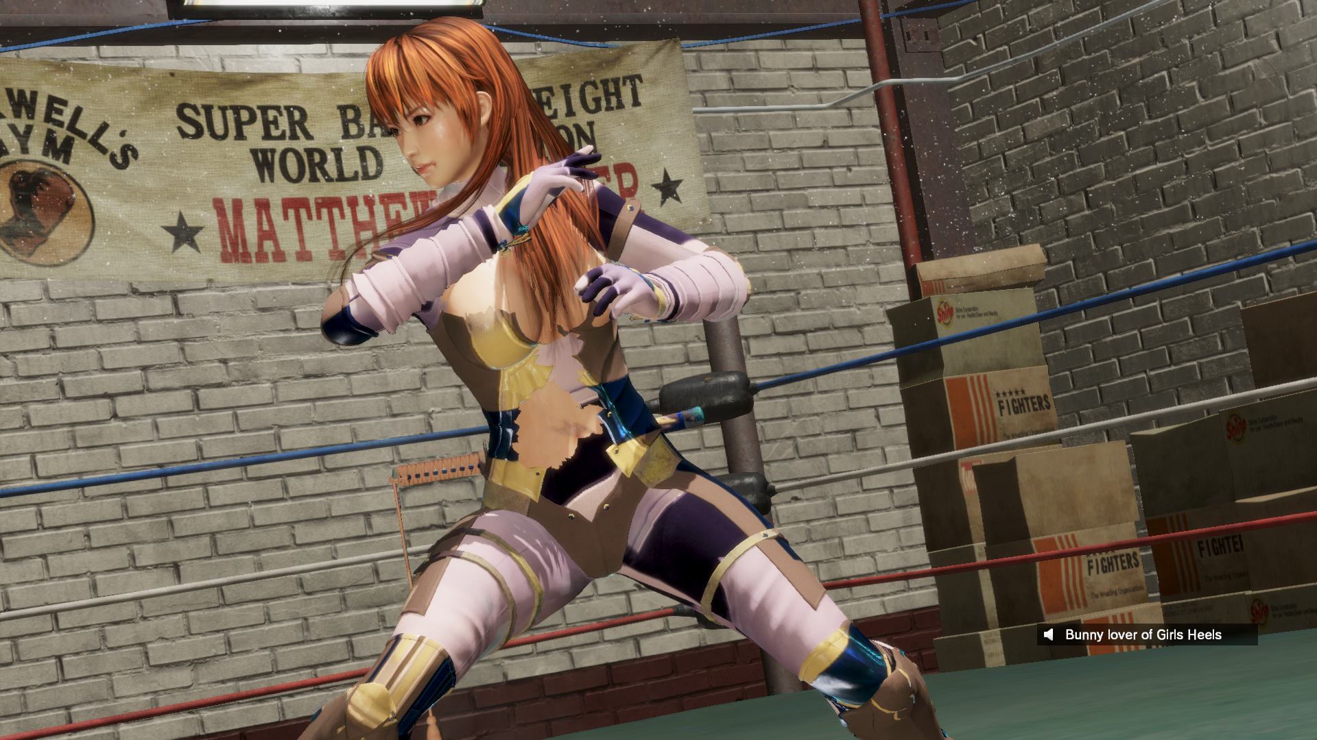 1007133806_DeadOrAlive6Screenshot2019_12.22-20_47_15_58.png.dc859a2a11a7923aa7028b795f87ecd8.png