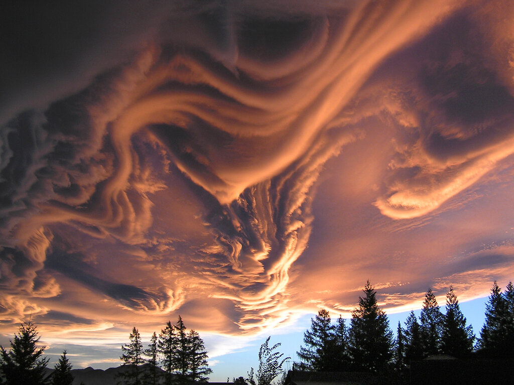 1241941285_asperatus3.jpg.6e0b06ed49422571cd80d320fd855327.jpg