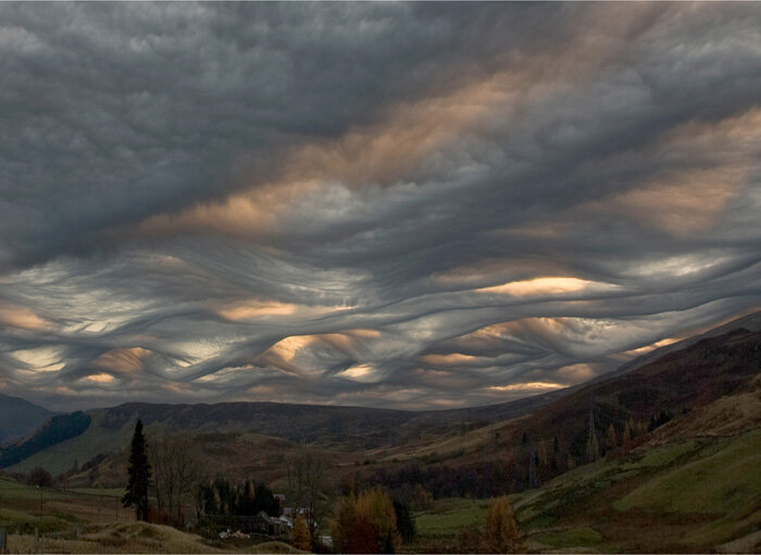 1329381307_asperatus4.jpg.7c2fc4b1232a63be61eaeeedd97a42fa.jpg