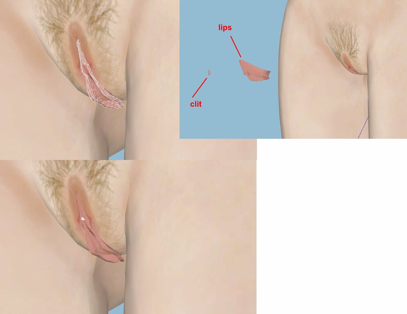 S pussy LL1.jpg