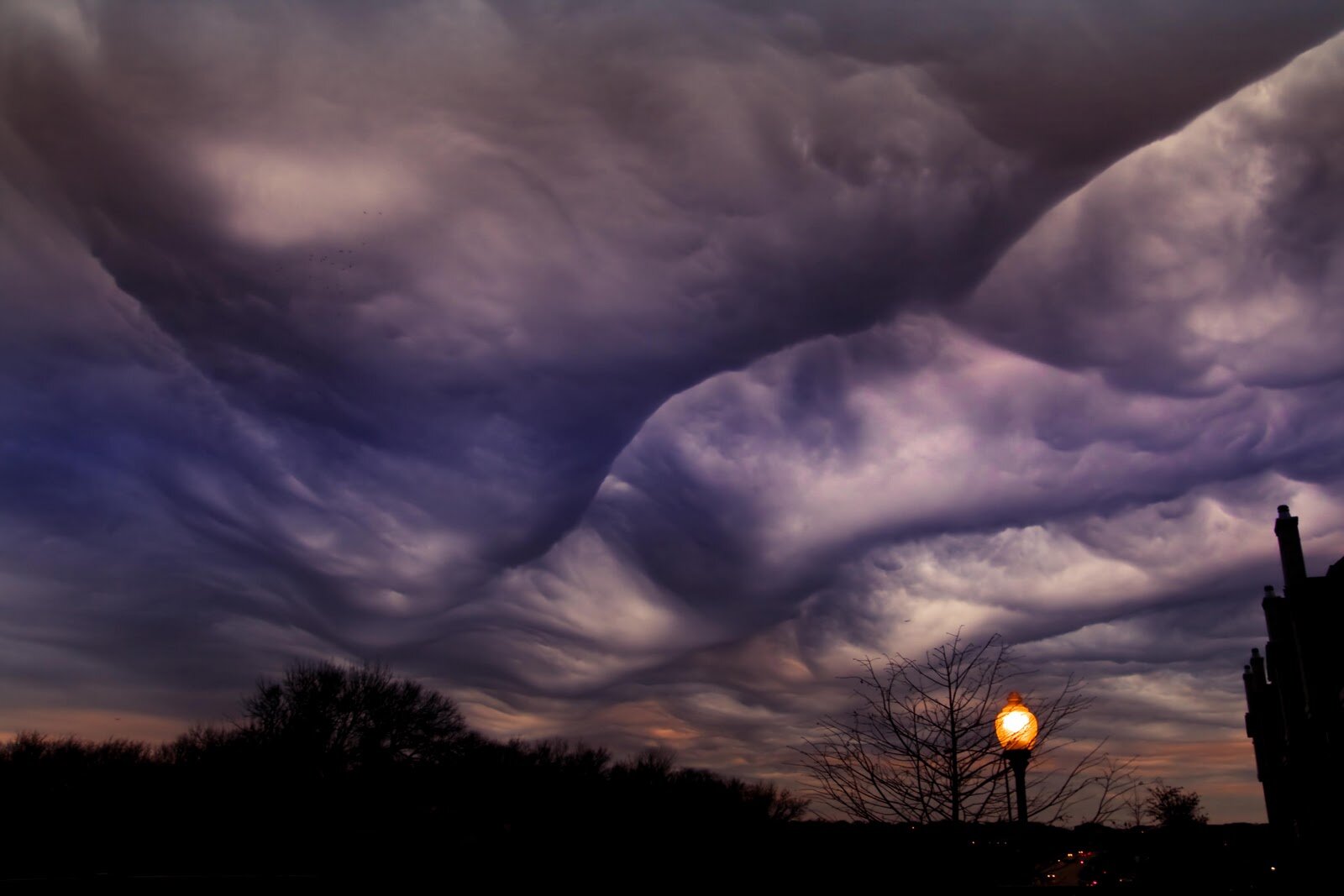 2083932530_asperatus2.jpg.77ba3396ee19fb404fb3403c1bbf1db8.jpg