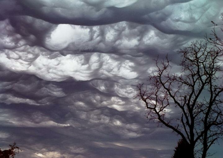 336560696_asperatus1.jpg.c9372626bf779c9fdc92f490fbfe6341.jpg