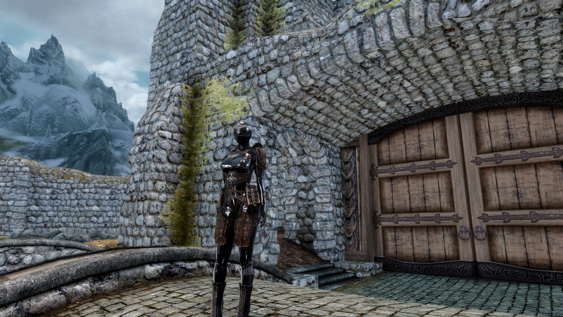 646802462_BikiniArmor-Leather.png.e517541ae961732bbfb93de76397d11e.png