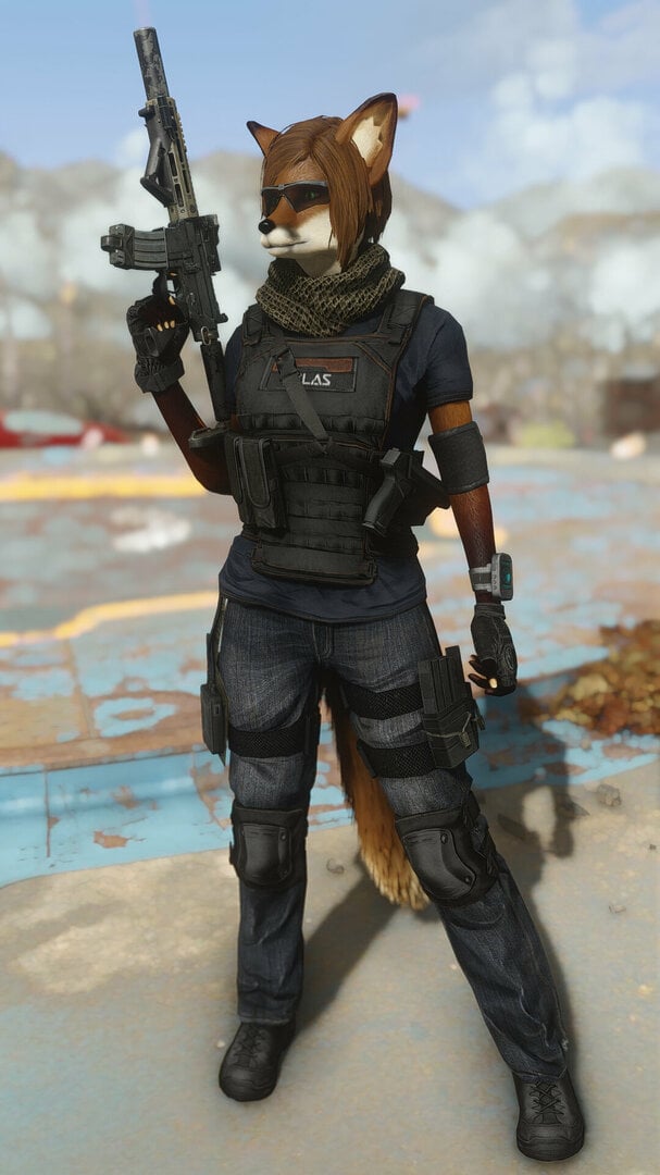 Atlas_PMC.jpg