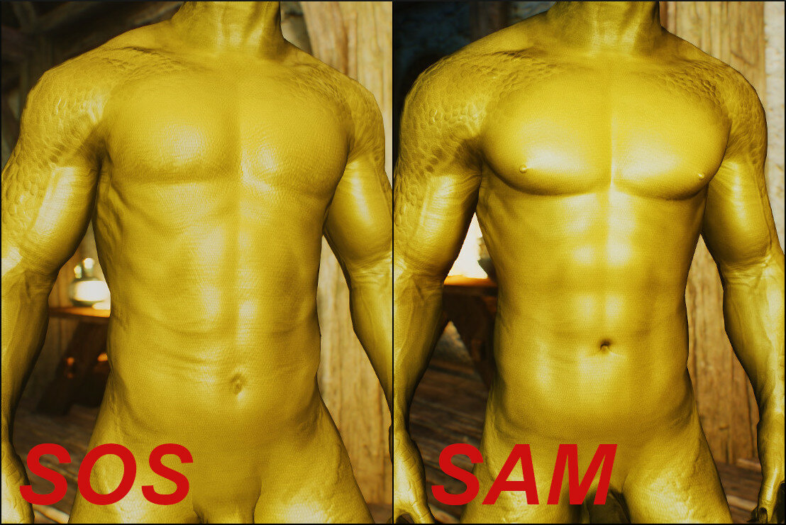 SOS-SAM.jpeg.c44170980247e562ace20d97956042a2.jpeg
