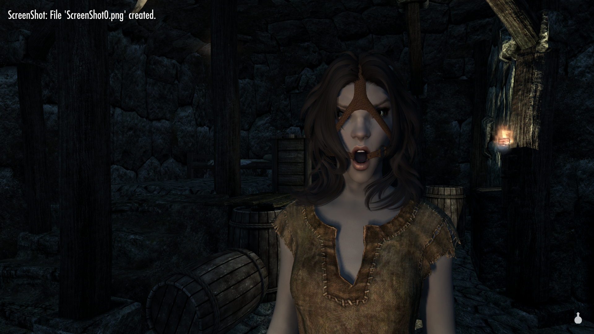 ScreenShot1.png.f3827c1f2d230cd5be7588bf7fc035cf.png