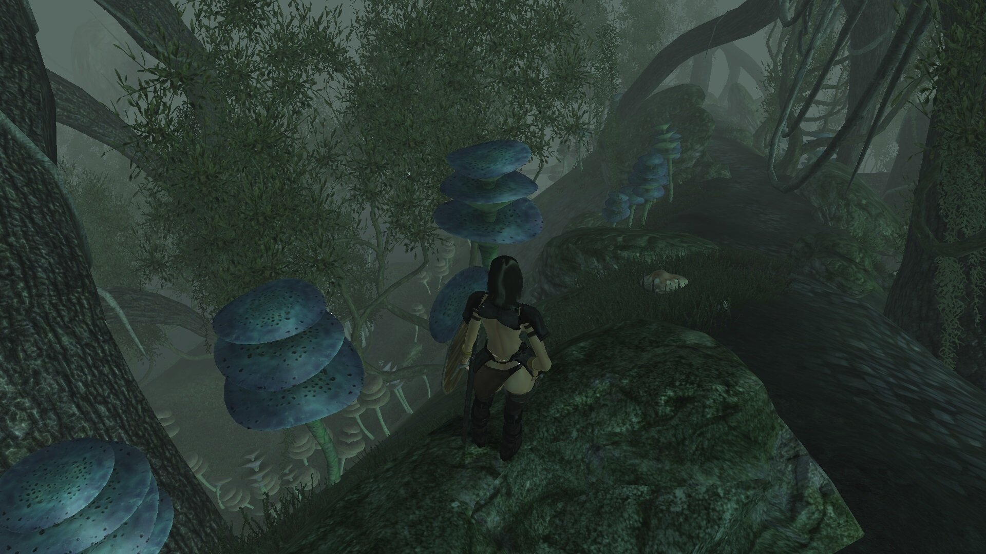 ScreenShot2957.jpg.bd90d011a0bee9b69eed675c96fbd497.jpg