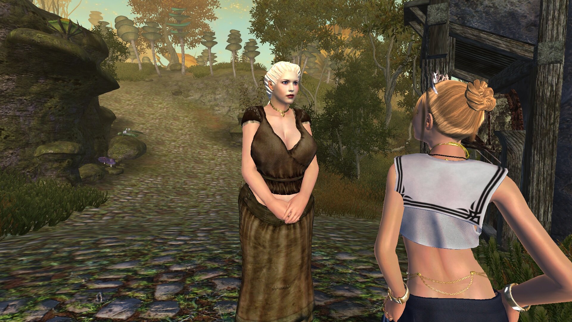 ScreenShot2964.jpg.d445ec6c62a720d145eee2c10530d4ad.jpg