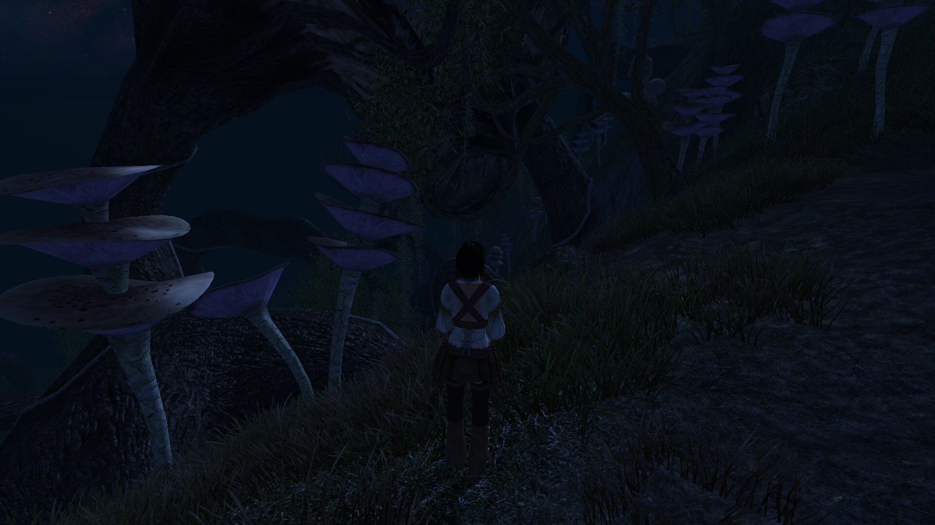 ScreenShot2971.jpg.e3e5acdf6bed8e8b9caa9ead6f98ea19.jpg