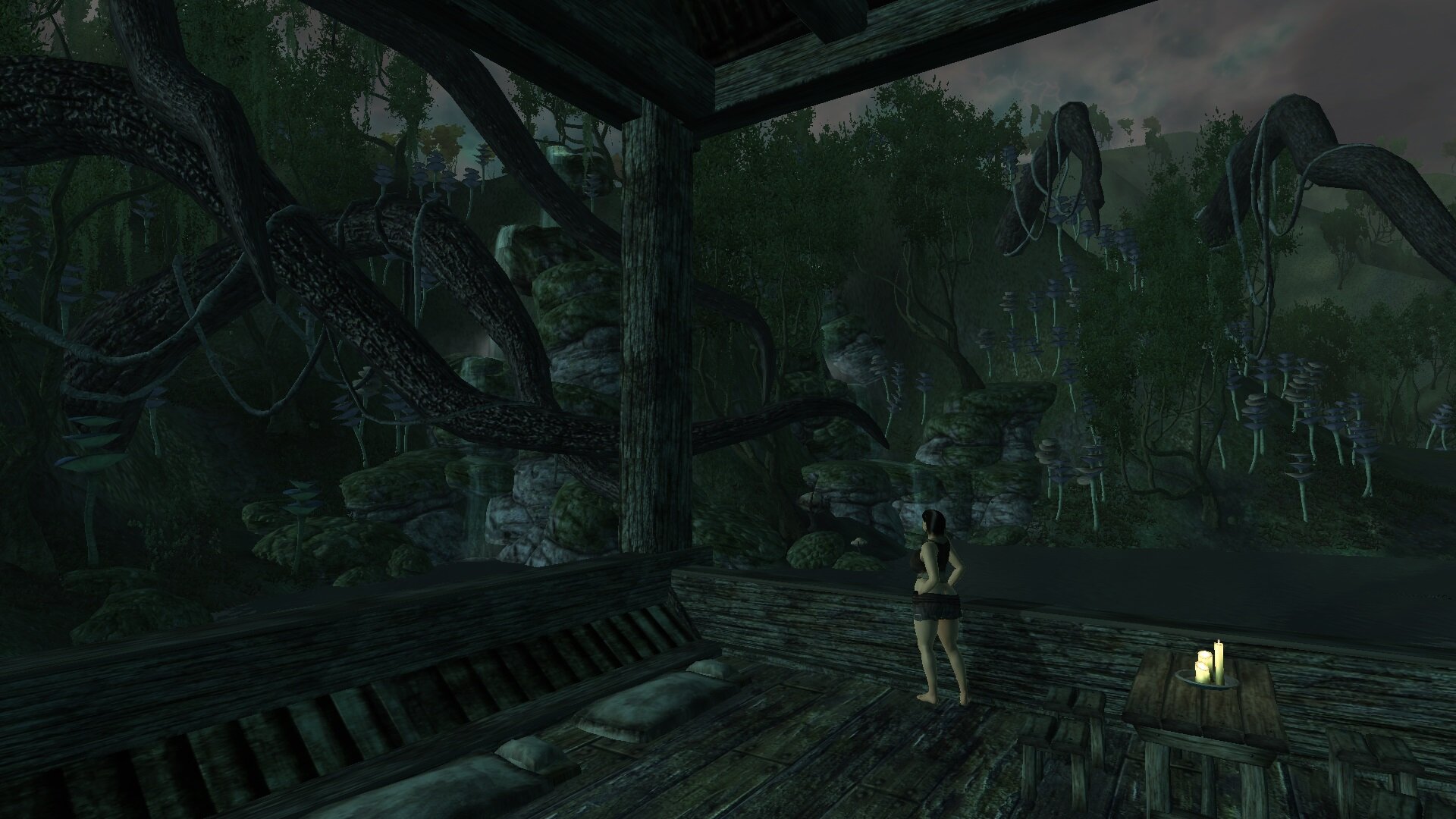 ScreenShot2978.jpg.bd66745a7f5dfe321fae87dc4f785911.jpg