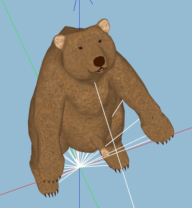 bear.jpg