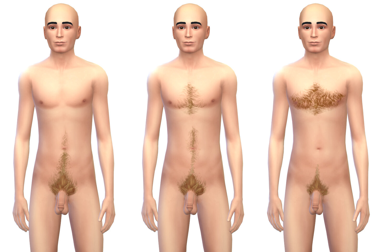 bodyhair_styles_new.jpg.e17e31bf9aa7a851d56842f681cb9bd9.jpg