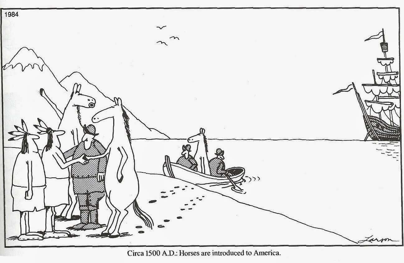 farside-horse.jpg.19d2d0da1f0925a1221ddca0cbe222ae.jpg