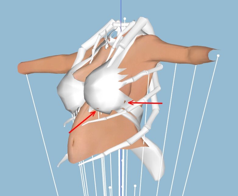 preg2.jpg